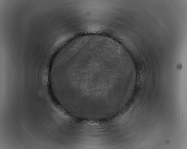 X0000101700640200807241433