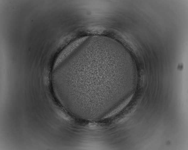 X0000101700641200807241433