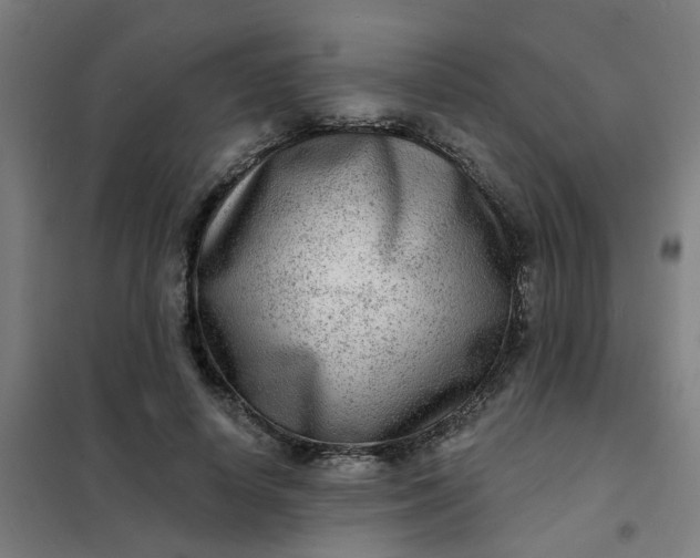 X0000101700642200807241433