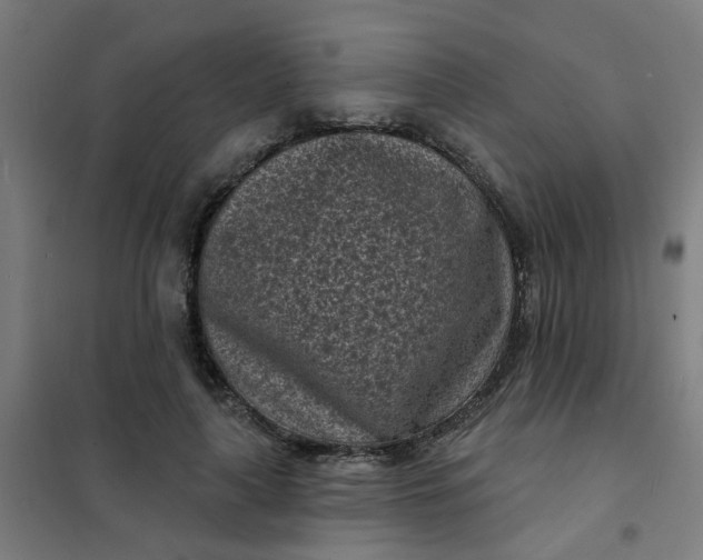 X0000101700643200807241433