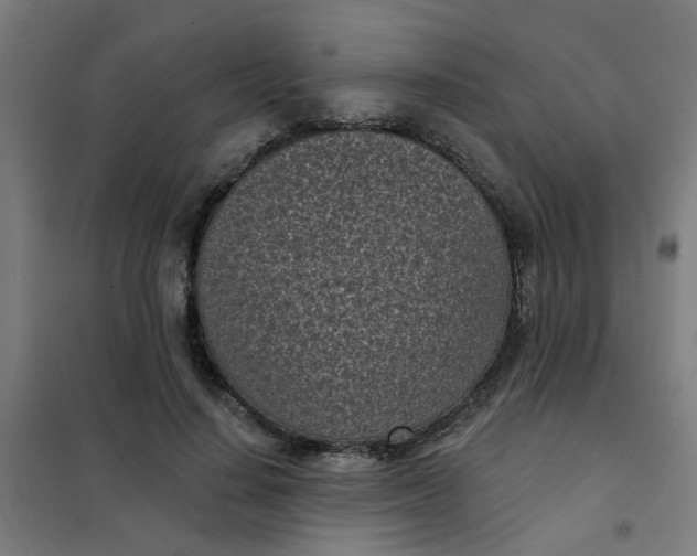 X0000101700644200807241433