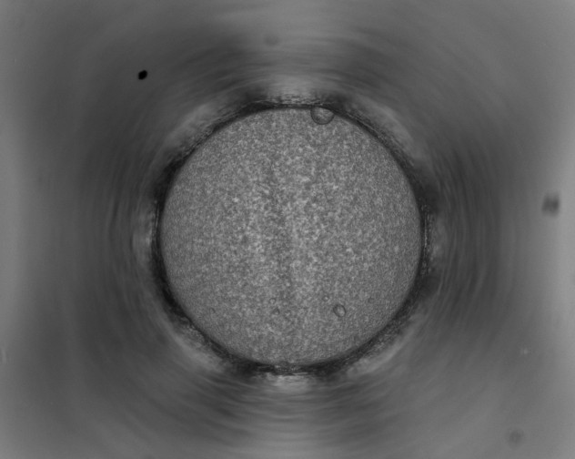 X0000101700645200807241433