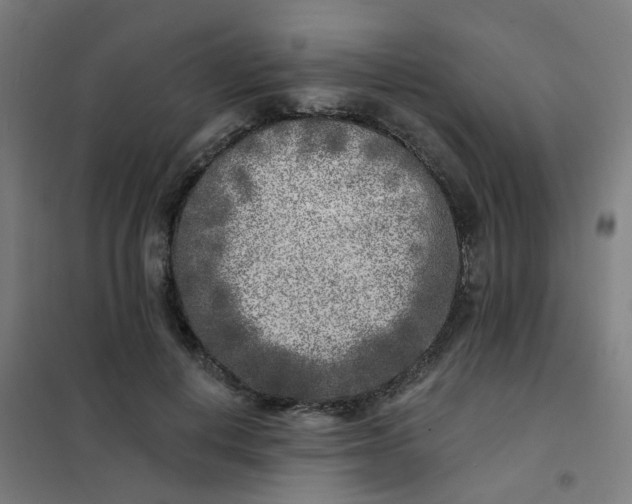 X0000101700648200807241433