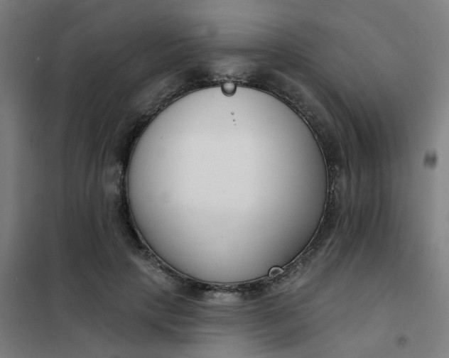 X0000101700649200807241433