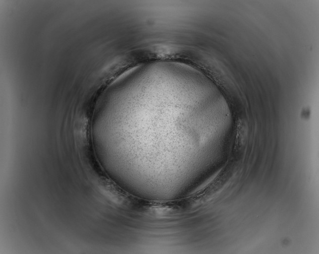 X0000101700650200807241433