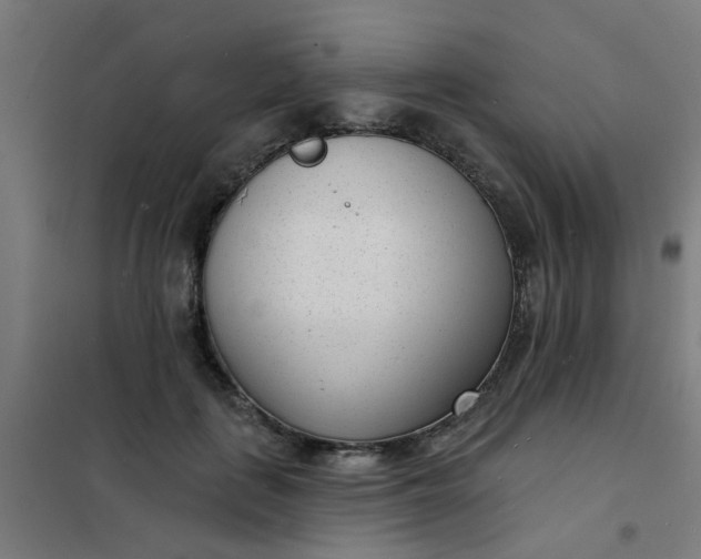 X0000101700651200807241433