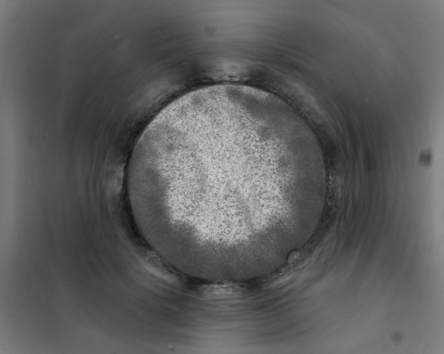 X0000101700652200807241433