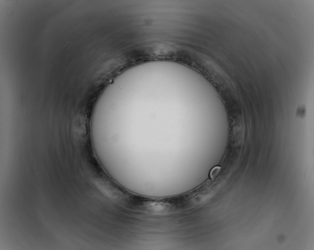 X0000101700654200807241433