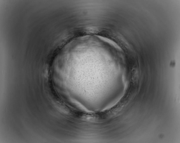 X0000101700655200807241433