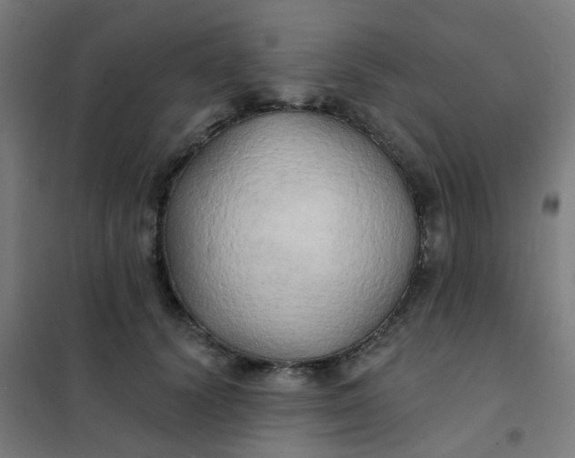 X0000101700656200807241433