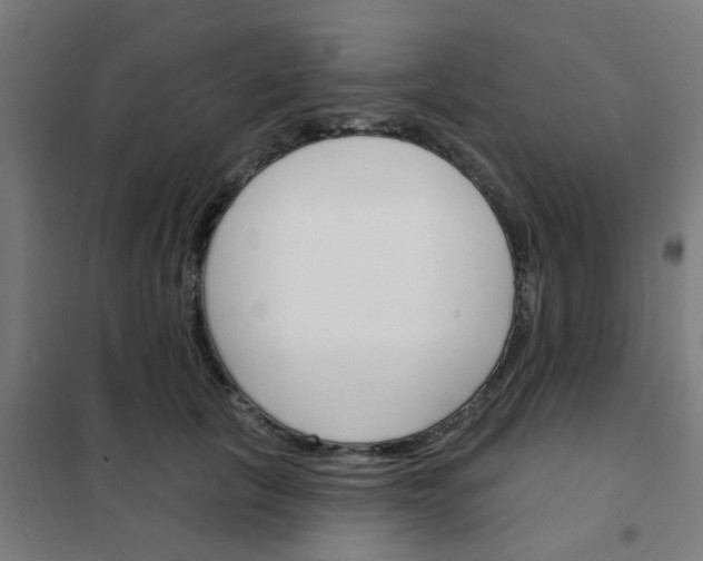 X0000101700657200807241433