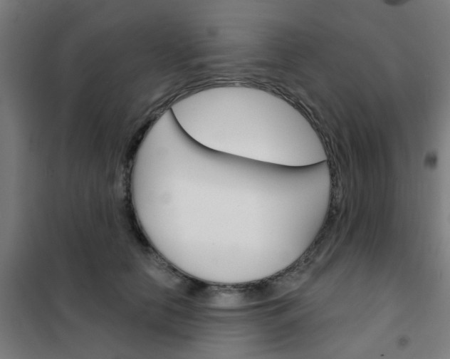 X0000101700658200807241433