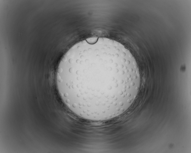 X0000101700659200807241433