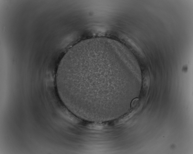 X0000101700661200807241433