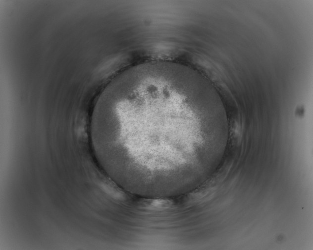 X0000101700663200807241433