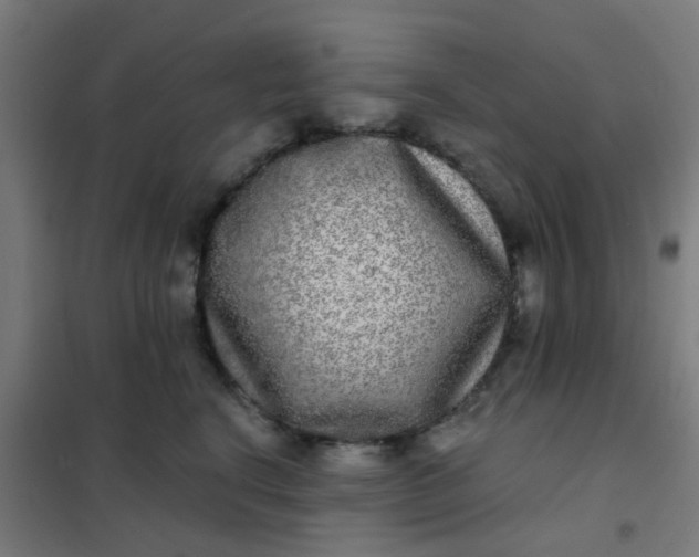 X0000101700664200807241433