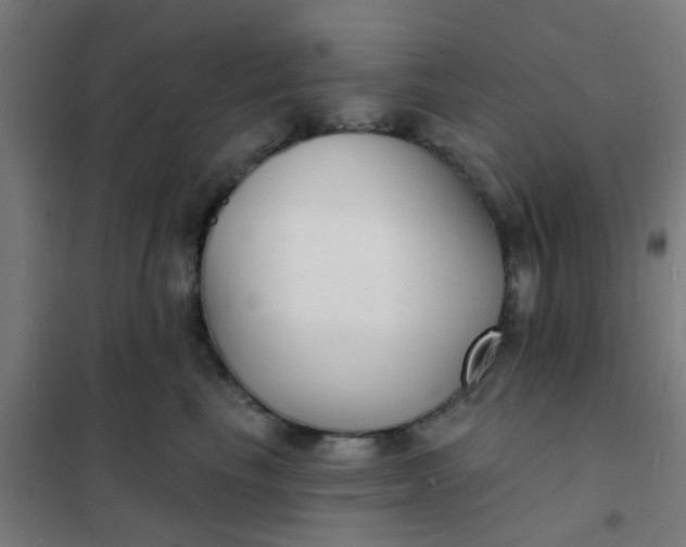 X0000101700665200807241433