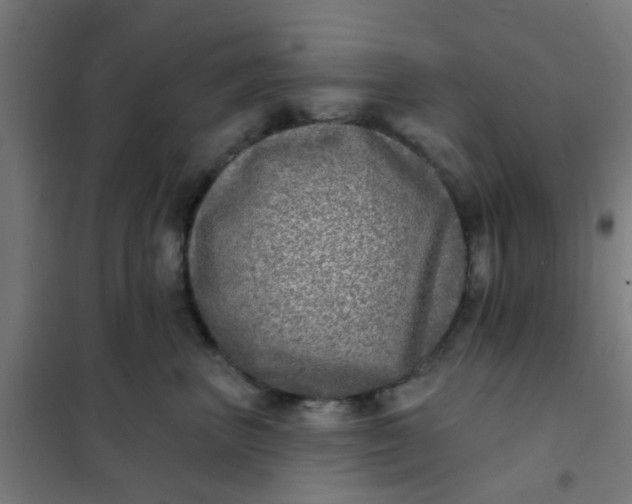 X0000101700667200807241433