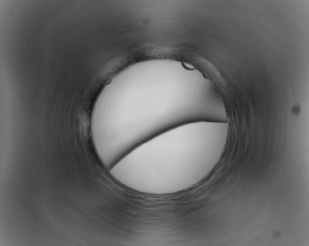 X0000101700669200807241434