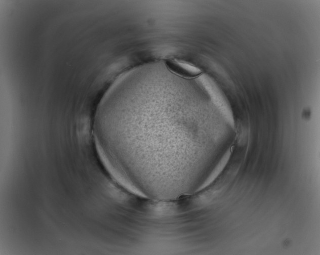 X0000101700670200807241434