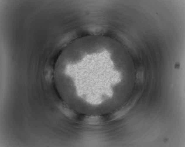 X0000101700671200807241434