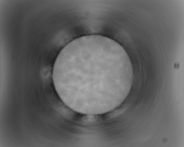 X0000101700672200807241434