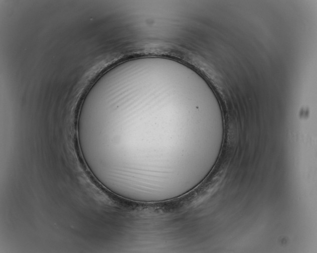 X0000101700673200807241433