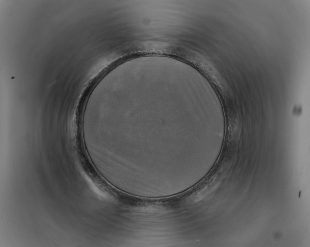 X0000101700674200807241433