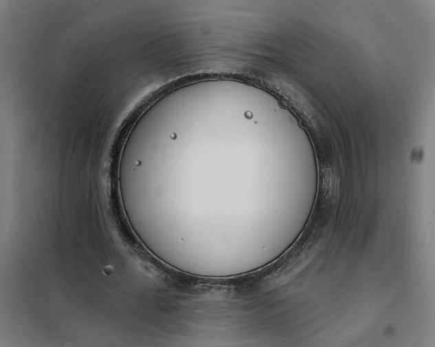 X0000101700676200807241433