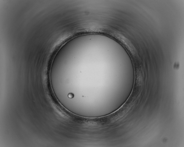 X0000101700677200807241433