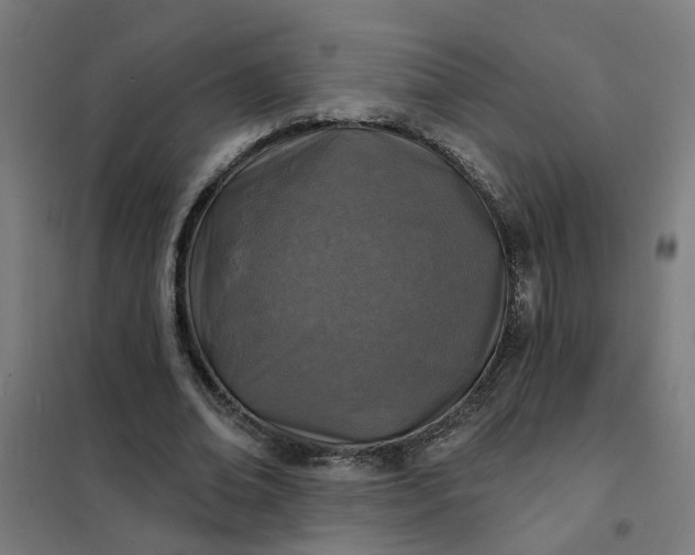 X0000101700678200807241433