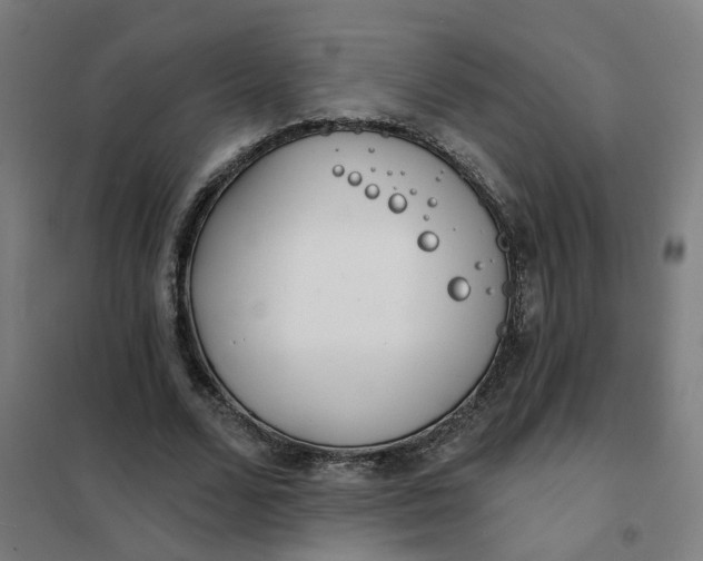 X0000101700680200807241433