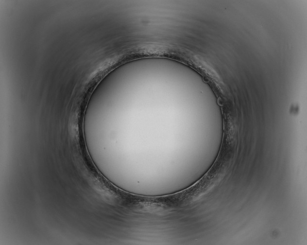 X0000101700681200807241433