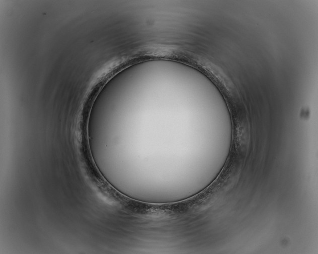 X0000101700682200807241433