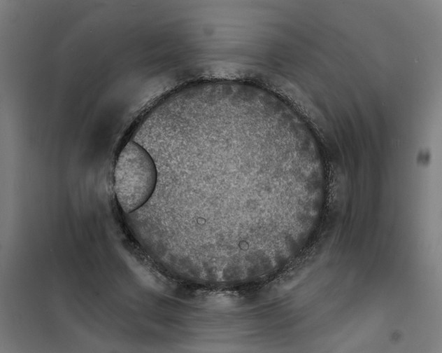 X0000101700683200807241433