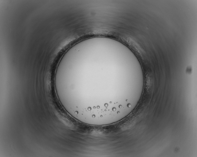 X0000101700684200807241433