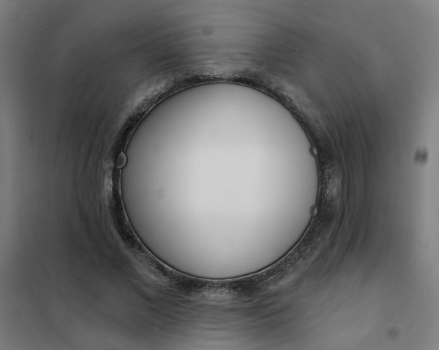 X0000101700685200807241433