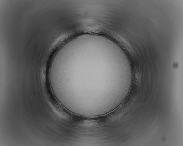 X0000101700686200807241432