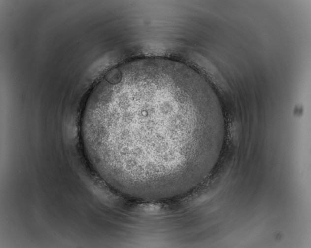 X0000101700687200807241432