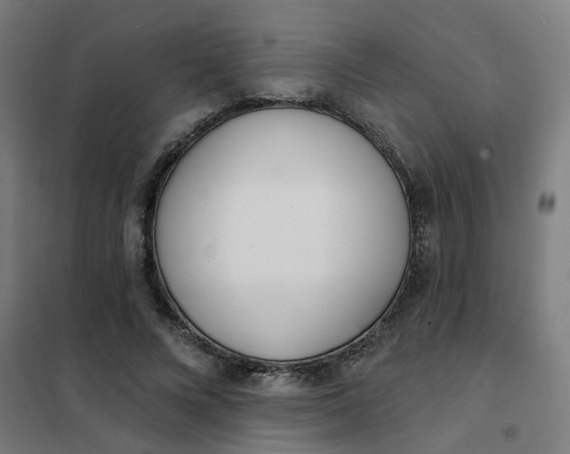 X0000101700688200807241432