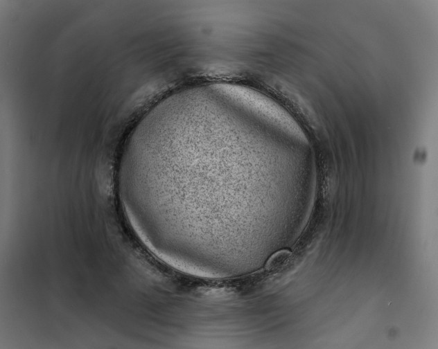 X0000101700689200807241432