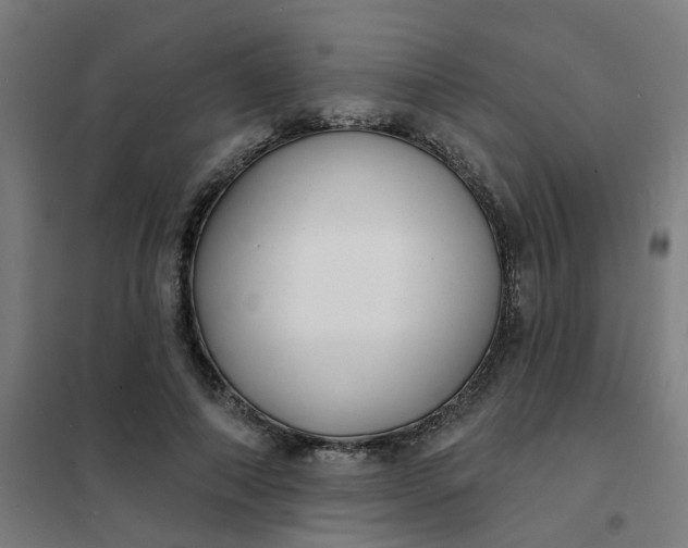 X0000101700690200807241432