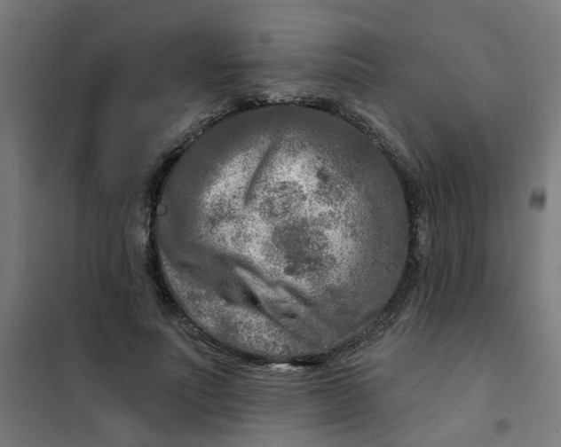 X0000101700691200807241432