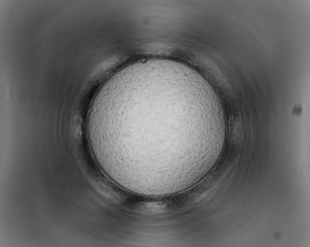 X0000101700692200807241432