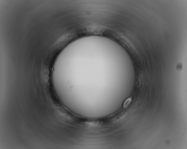 X0000101700693200807241432