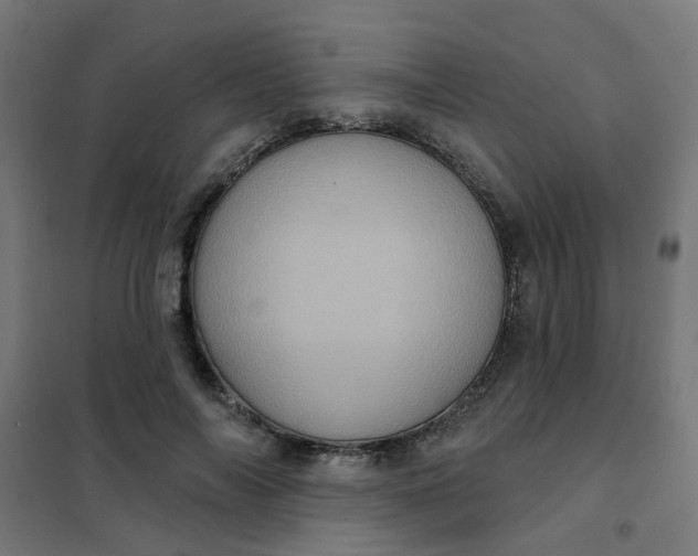 X0000101700694200807241432