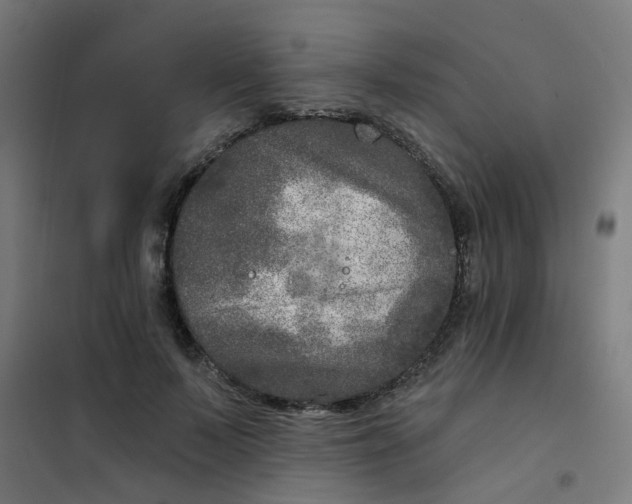 X0000101700695200807241432