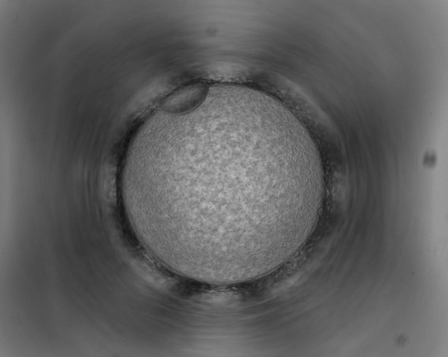 X0000101700696200807241432