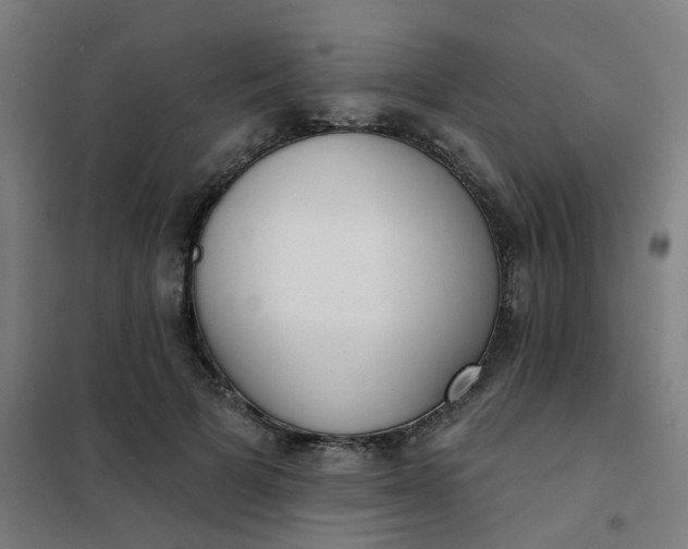 X0000101700697200807241432