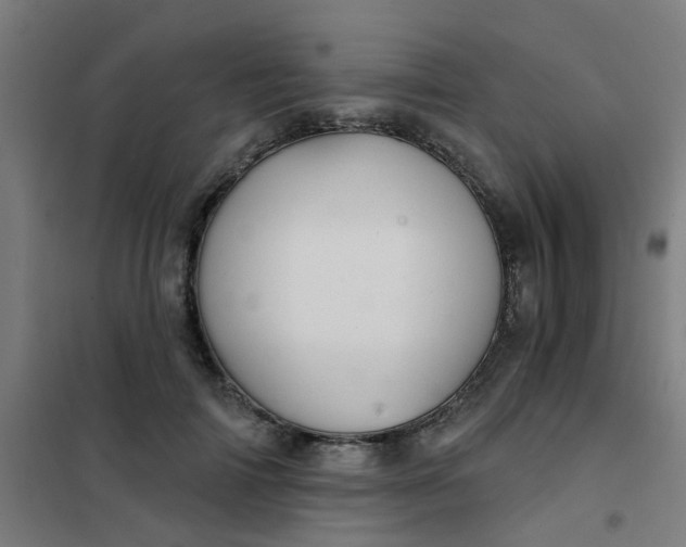 X0000101700698200807241432